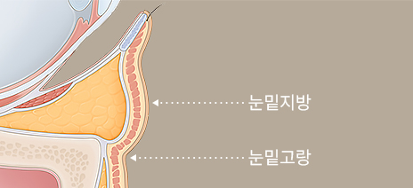 사진이미지